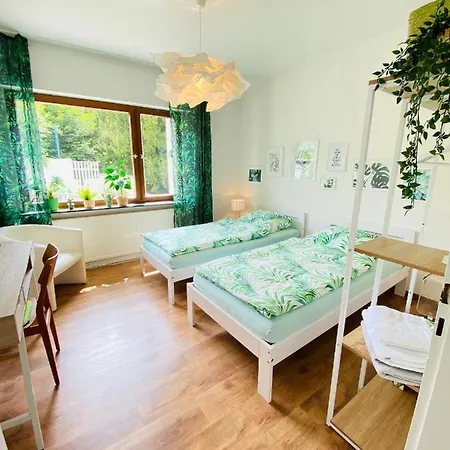Eifel-house - Monteurswohnung *