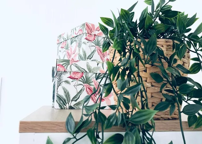 Eifel-house - Monteurswohnung Appartement *